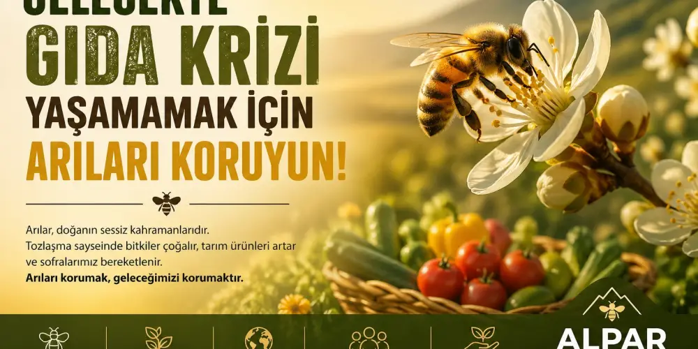 Gıda Krizini Önlemenin Anahtarı: Arıları Korumak Neden Hayati?