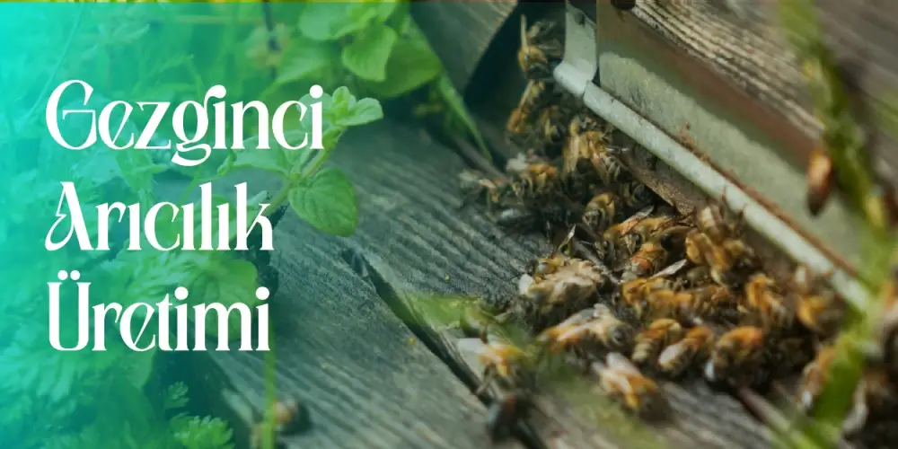 Arı Dostu Çiçekler: Kolay Yetişen ve Arıları Çeken Bitkiler