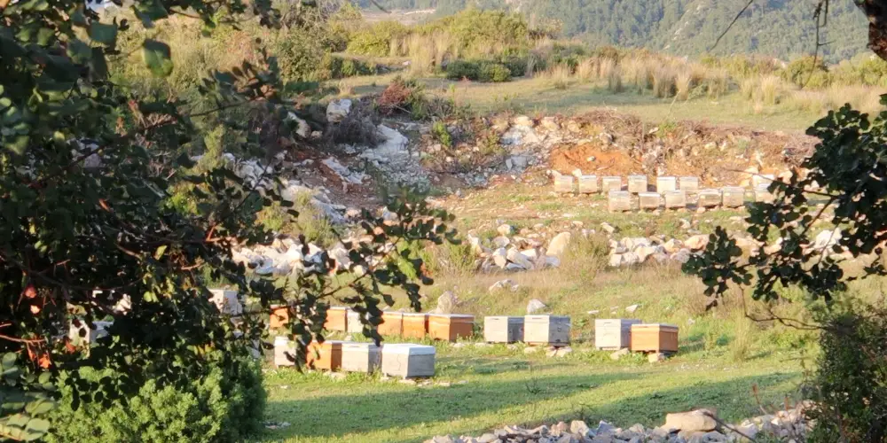 Biz Kimiz Gezgin Arıcılık Alpar Bal