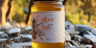 Bal Hakkında Merak Ettikleriniz: Donan Bal, Kaliteli Bal ve Daha Fazlası