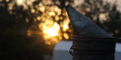 Çörekotlu Bal ile Bağışıklık Bombası Tarifi