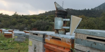 Kış Aylarında Bağışıklığı Güçlendiren Ballı Karışım Tarifleri