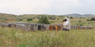 Krem (Beyaz) Bal Nedir? – Doğallığın Sürülebilir En Tatlı Hali