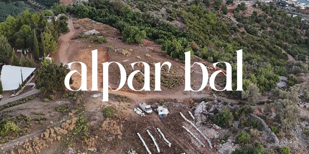 Alpar Ne Demek? Alpar Bal İsminin Anlamı ve Hikâyesi