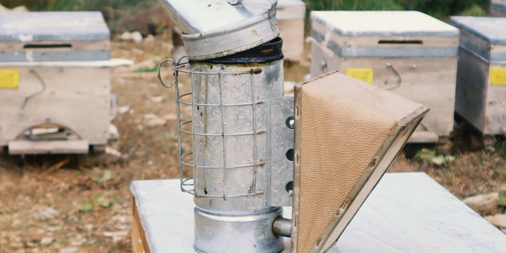 Arılar Ölüyor: Doğanın Sessiz Çığlığını Duyabiliyor Muyuz?