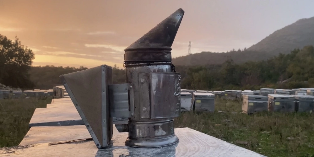 Bal Nedir? Gerçek Bal Nasıl Anlaşılır? | Alpar Bal