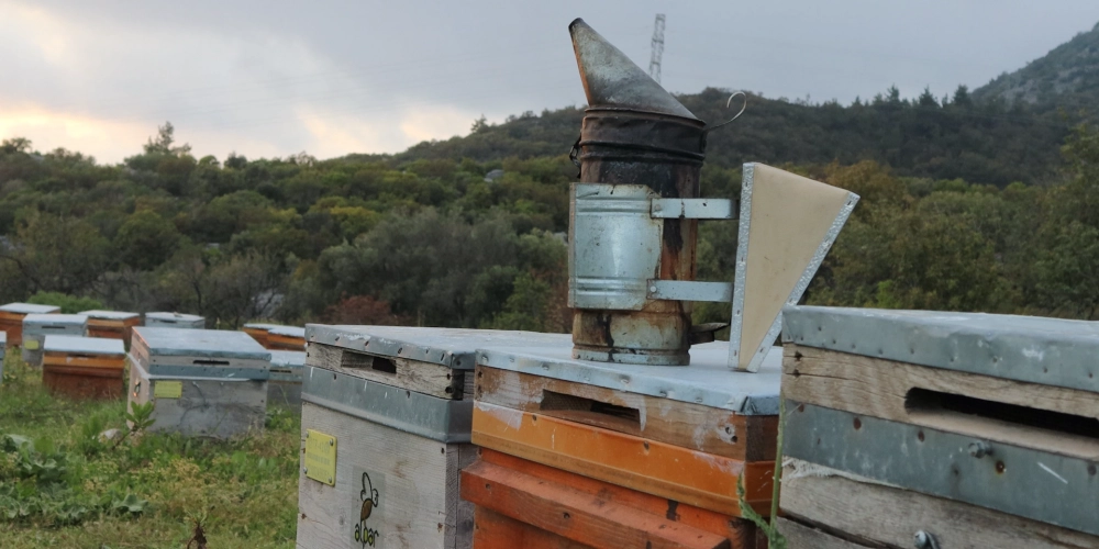 Kış Aylarında Bağışıklığı Güçlendiren Ballı Karışım Tarifleri