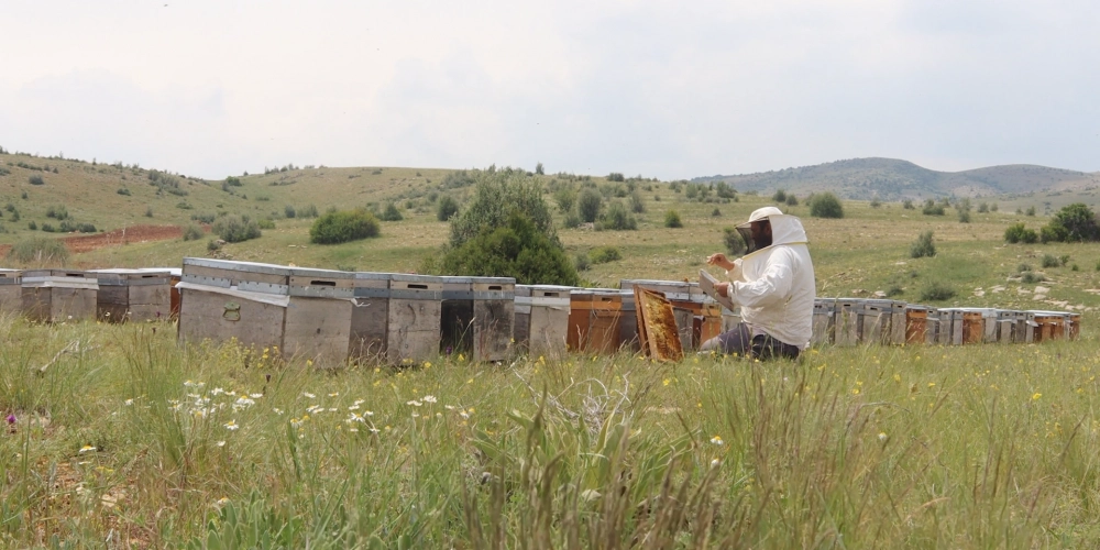Krem (Beyaz) Bal Nedir? – Doğallığın Sürülebilir En Tatlı Hali