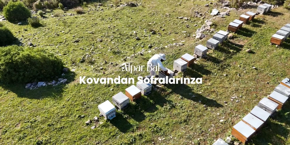 Who We Are – 30 Years of Migratory Beekeeping Experience – Alpar Honey