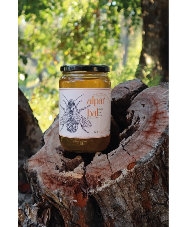 ALPAR Yüksek Rakım Ham Kır Balı 850 GR