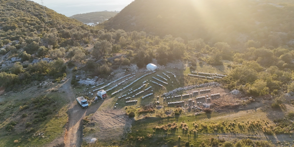 Alpar Bal: Kovandan Sofralarınıza