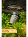 Çörekotlu Bal 450 GR