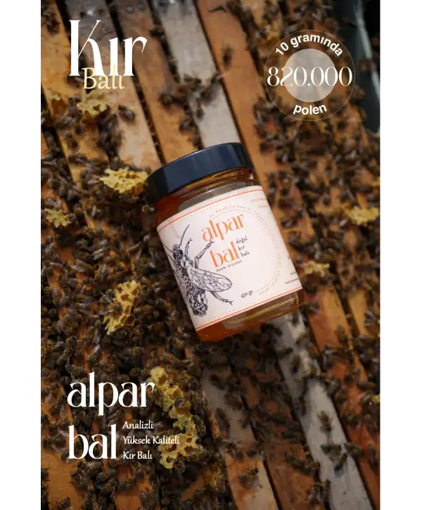 Ham Kır Balı 450 GR