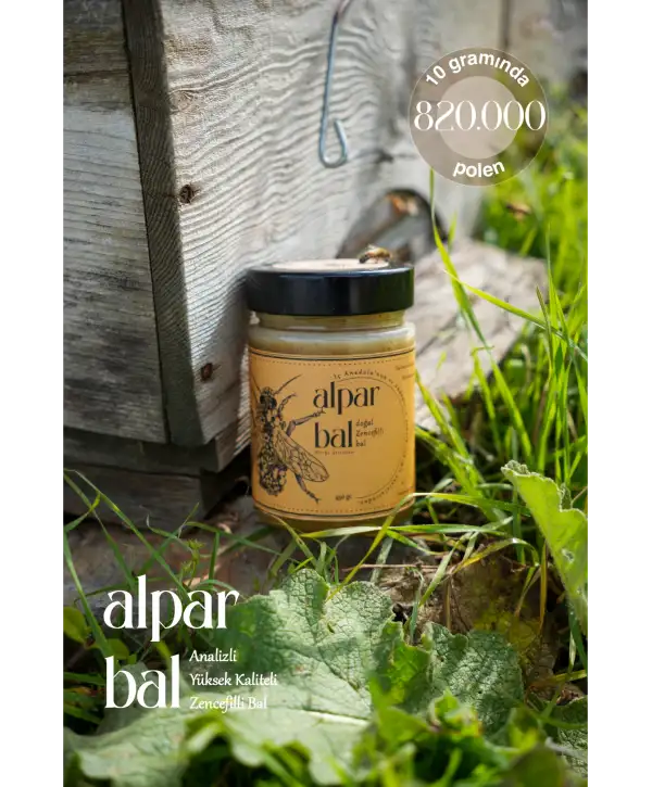 Zencefilli Bal 450 GR
