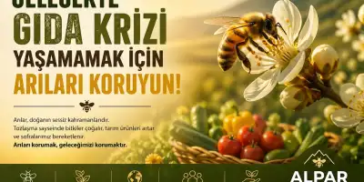 Gıda Krizini Önlemenin Anahtarı: Arıları Korumak Neden Hayati?