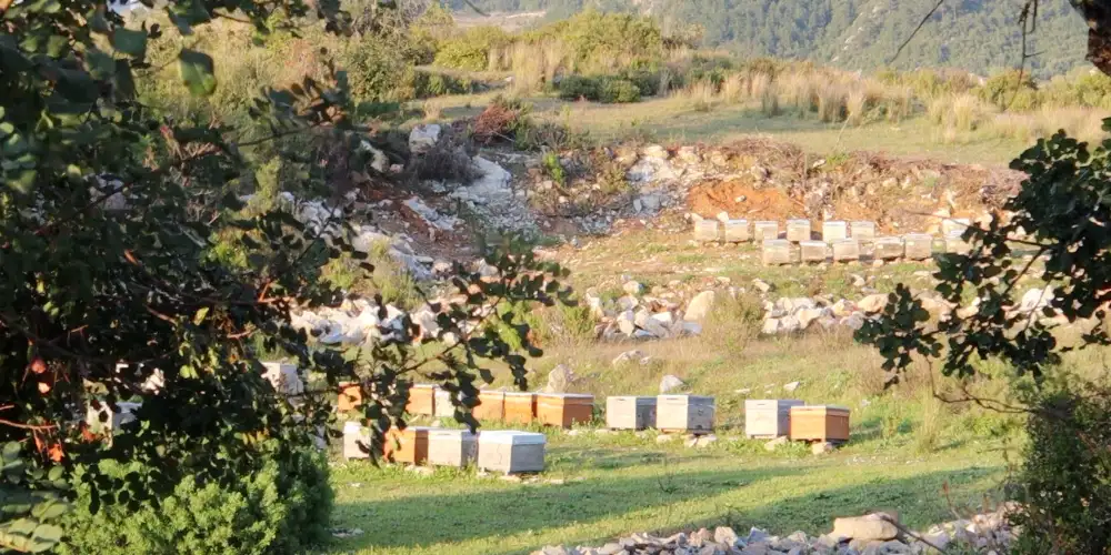 Biz Kimiz Gezgin Arıcılık Alpar Bal