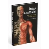 İNSAN ANATOMİSİ - Klinik Bilgiler Eşliğinde Sistematik Anlatımlı