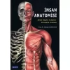 İNSAN ANATOMİSİ - Klinik Bilgiler Eşliğinde Sistematik Anlatımlı