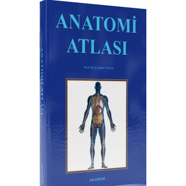ANATOMİ ATLASI - Sağlık Bilimleri için