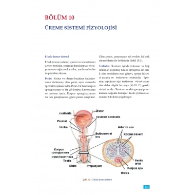 FİZYOLOJİ - Sağlık Bilimleri için