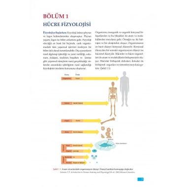 FİZYOLOJİ - Sağlık Bilimleri için