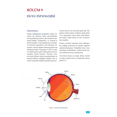 FİZYOLOJİ - Sağlık Bilimleri için