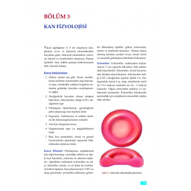FİZYOLOJİ - Sağlık Bilimleri için