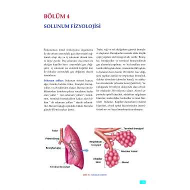 FİZYOLOJİ - Sağlık Bilimleri için