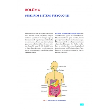FİZYOLOJİ - Sağlık Bilimleri için