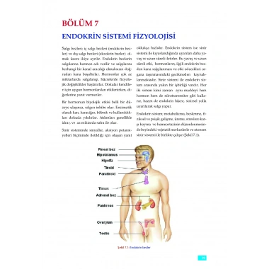FİZYOLOJİ - Sağlık Bilimleri için