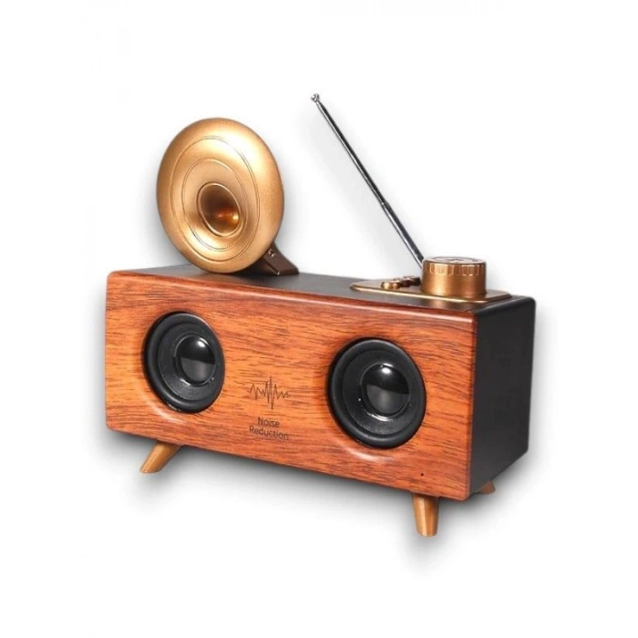 B6 SPEAKER HOPARLÖR - Lisinya