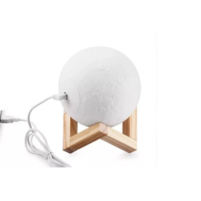 Dekoratif Yerküre 15cm Pilli Lamba ( Lisinya )