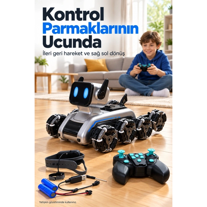 Robot Köpek - Lisinya