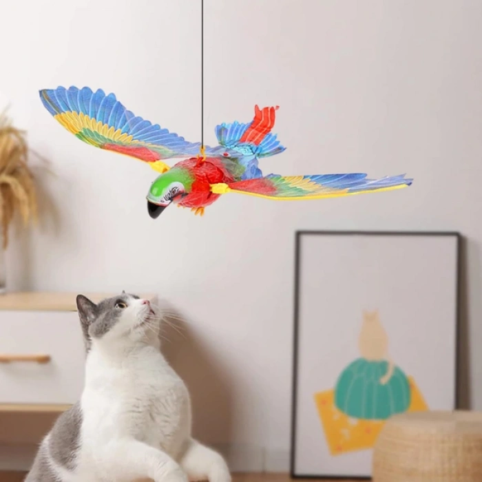 Uçan Papağan Kedi Oyuncağı