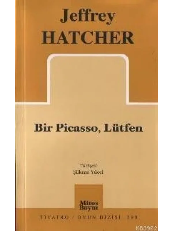 Bir Pıcasso, Lütfen