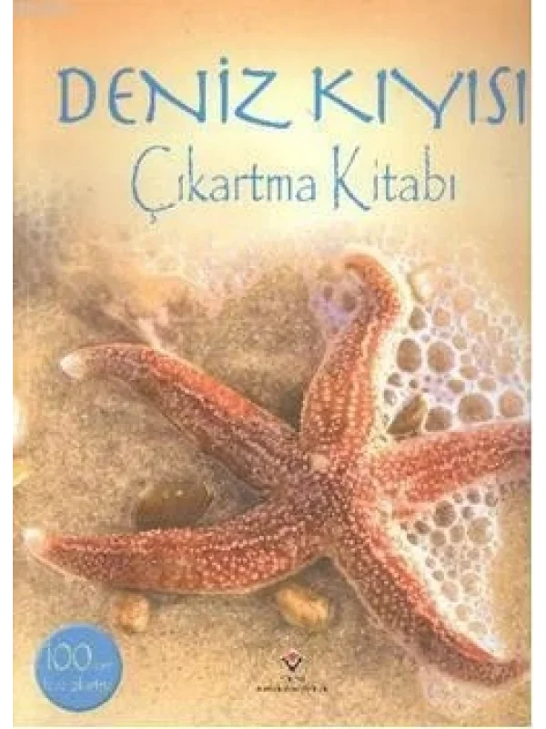 Deniz Kıyısı Çıkartma Kitabı
