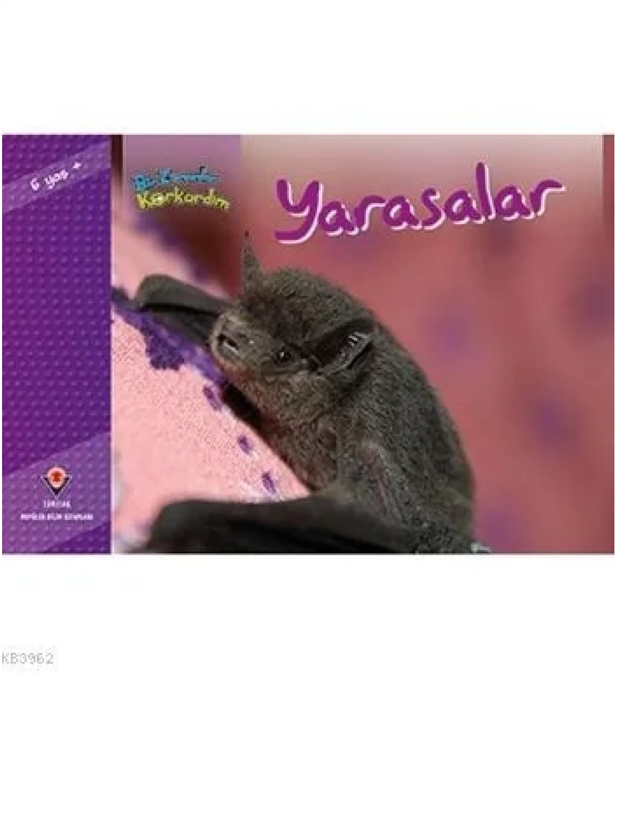 Bir Zamanlar Korkardım - Yarasalar