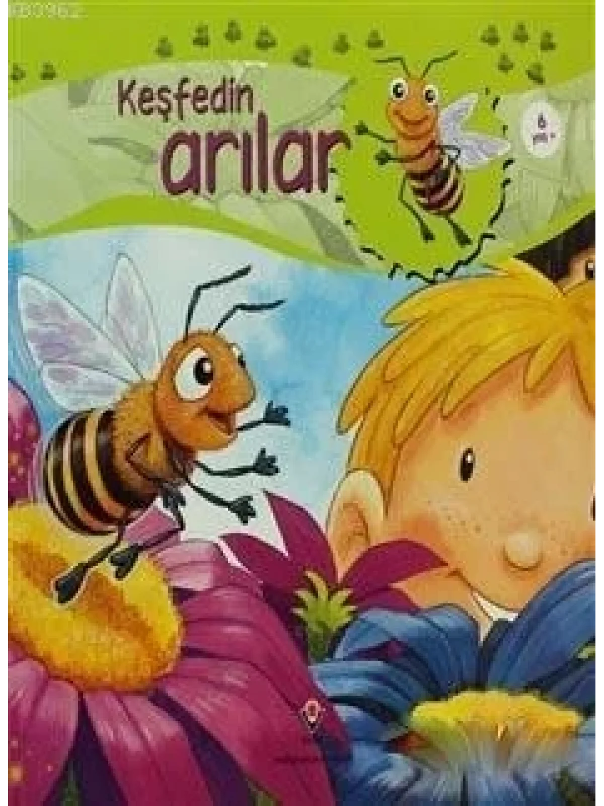 Keşfedin - Arılar