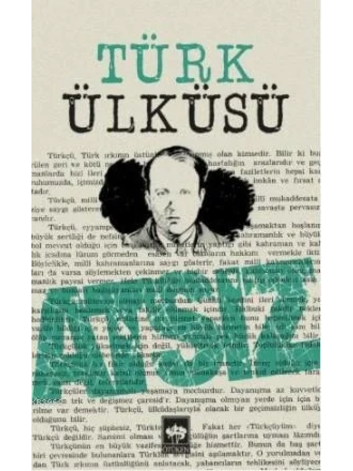 Türk Ülküsü