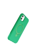 Newface Apple iPhone 11 Regal Magsafe Standlı Kapak