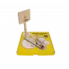 Basket At