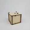 Manyetik Kasa