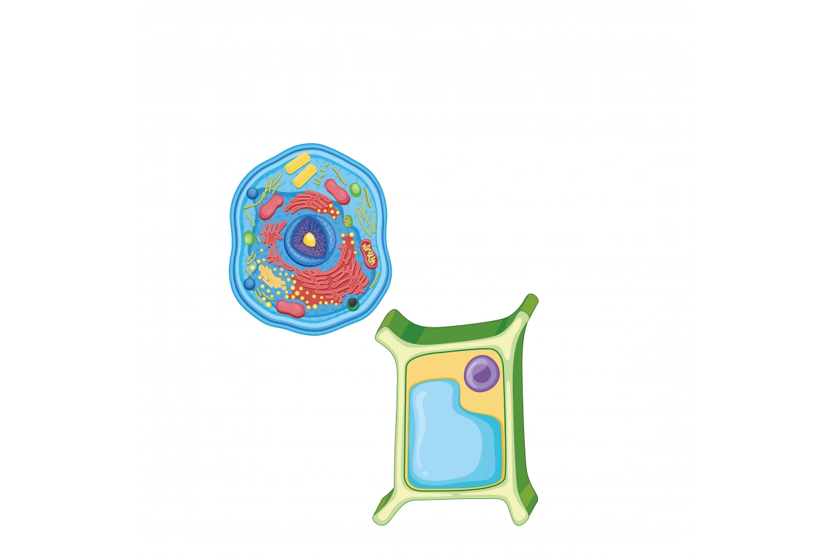 Global Sınıf STEM-Maker , Deney Seti – 8 Proje – 7. Sınıf – Eğitici Bilim ve Mühendislik Seti