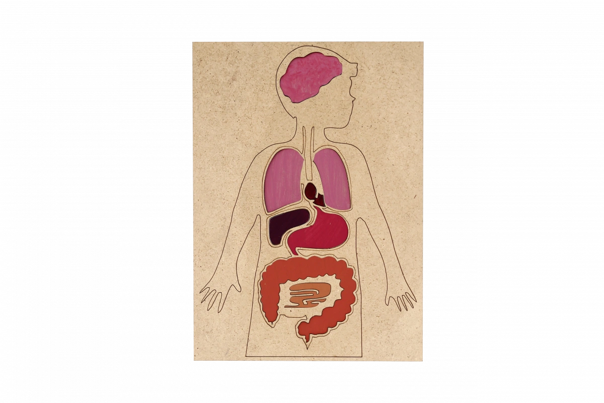 2. Sınıf Bilim Seti