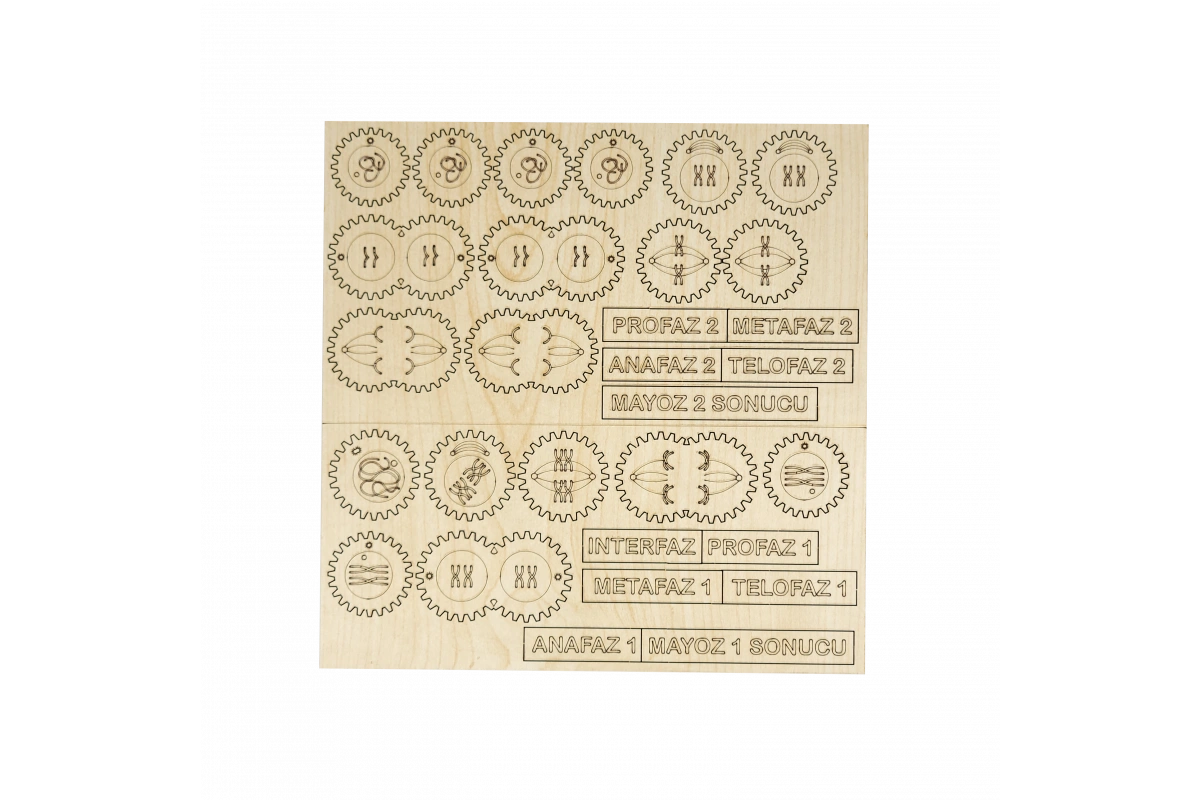 Global Sınıf STEM-Maker , Deney Seti – 8 Proje – 7. Sınıf – Eğitici Bilim ve Mühendislik Seti