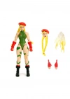 253252033 6 Figure