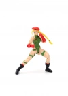 253252033 6 Figure