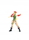 253252033 6 Figure