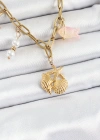 316L Çelik Gold Renk Deniz Yıldızı ve Deniz Kabuğu Konsept Kadın Kolye