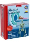 Bilim Seti : İnsan İskeleti